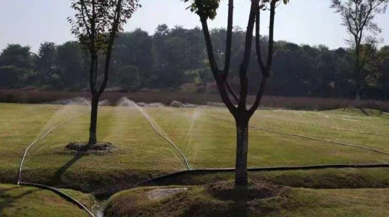 micro-rain-pipe-for-lawn-watering