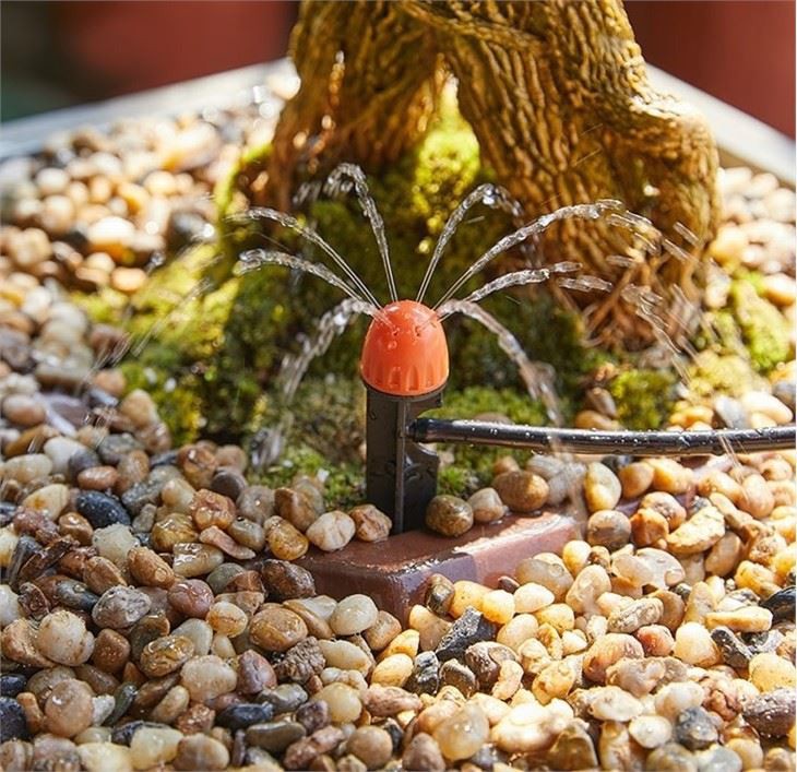 Drip Sprinkler System