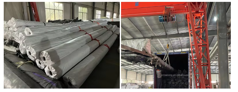 geo membranes 4 geo membranes 4